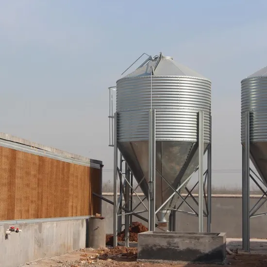 Modern Automatic Broiler Chicken Poultry House  Equipment with Shed