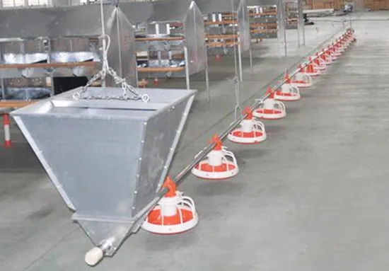 Livestock Equipment Broiler Chicken