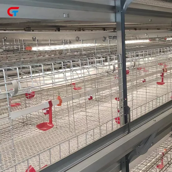 Polultry Feeding 6 Tiers H Type Layered Chicken Automatic Cage with Top Quality