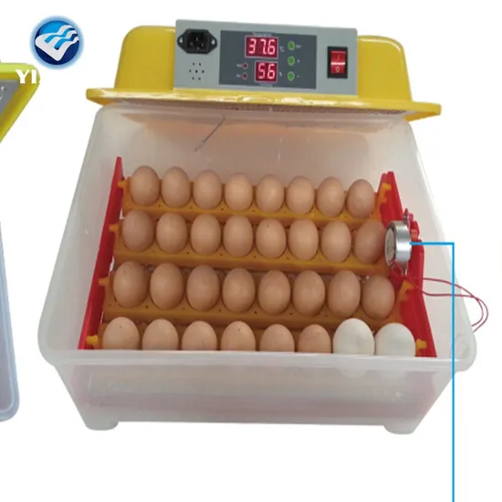 Used 48 Gqf Emu Eggincubator for Sale 48 Chicken Egg Computer Automatic Controller Full Automatic Fully Automatic 8-12 Years