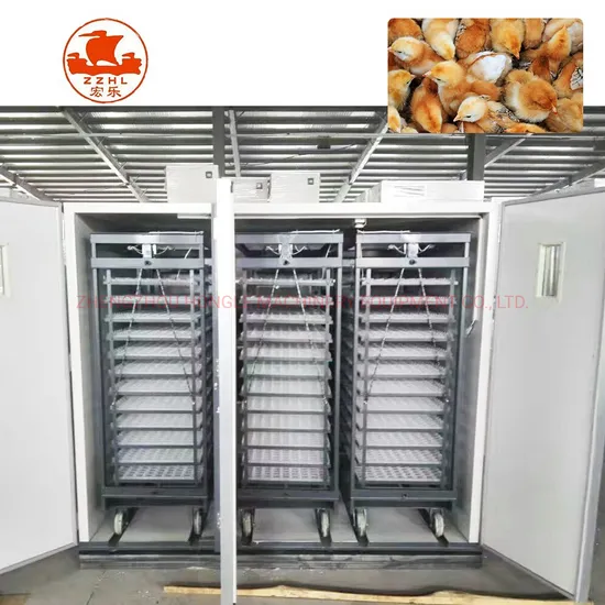 Incubator 10000 Eggs Chicken Hatching Machine for Eggs Incubator in UAE