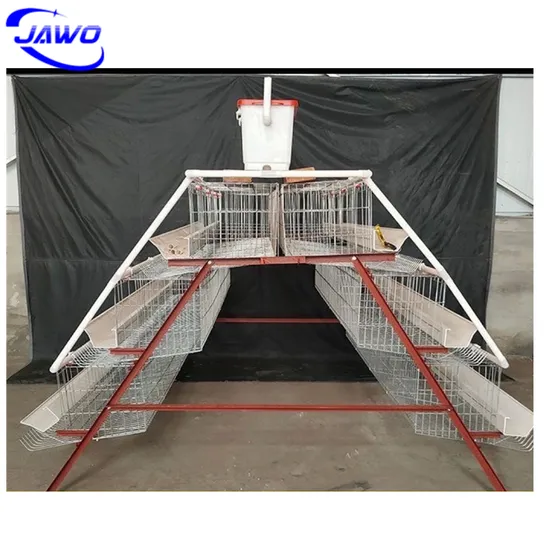 Automatic Chicken Cages Egg Layer Poultry House Chicken Coop