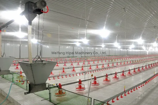 Fully Automatic Feeder Pan Feeding System for Chicken Farms