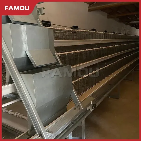 Famou Poultry Breeding Equipment Compact Design Ladder Type Auger Poultry Feeding System