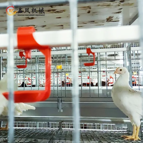 Automatic Poultry Equipment Breeder Chicken Farming Battery Cage Chicken Cages for Breeders Hens