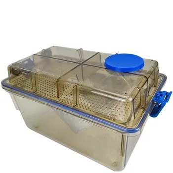 Lab Automatic Touchscreen Control Ivc Equipment Lab Rat Mouse Breeding Ivc Cages System Single Double Sided Rack