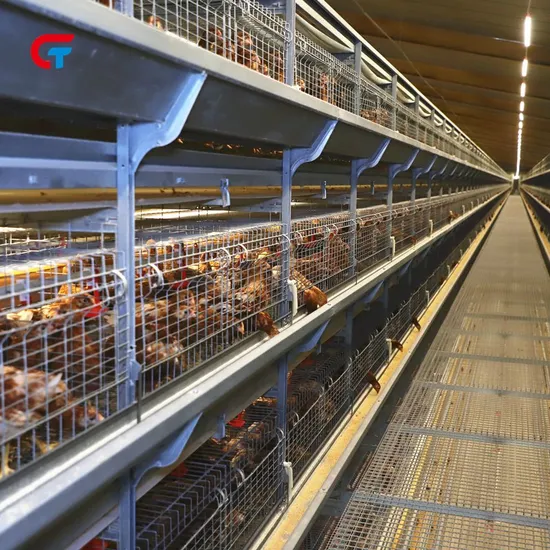 Poultry Farming Equipment Best Quality Battery Long Service Life Layer Chicken Cage