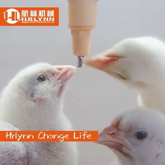 Cheap Price Automatic Nipple Drinker for Chicken/Layer/Broiler/Breeder