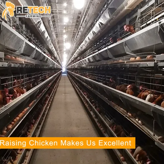 New Design 5 Tiers Layer Chicken Cage with Moderate Price