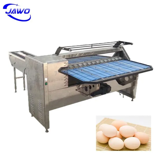 Egg Weight Grading Processing Machine Egg Sorter Machine for Sale