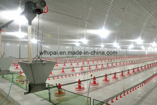 Chicken Feeding Pan System Automatic Chicken Feeding Line Feeding Silo