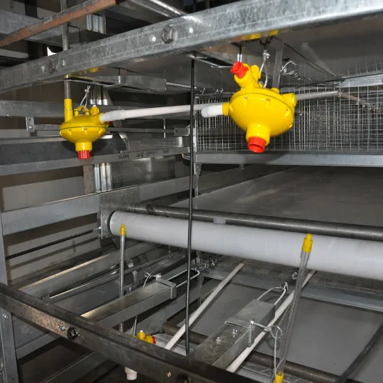 H Frame Layer Egg for Chickcen Cage