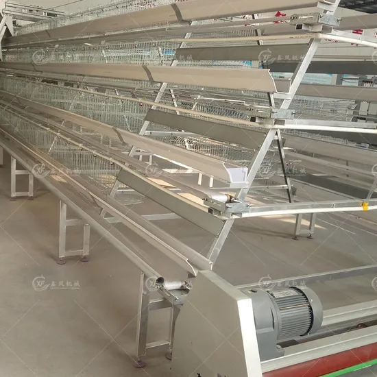 Cheap Hot DIP Galvanized a Type Poultry Farming Hot Sale Layer Cage