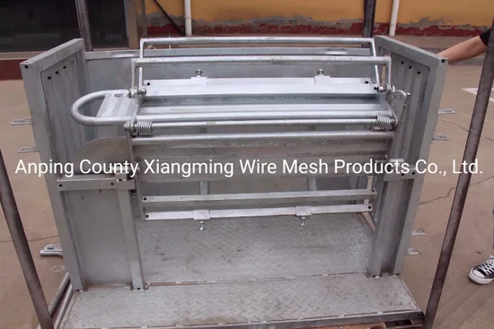 Sheep Livestock Farming Sheep Equipment