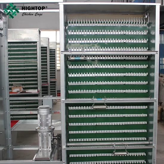 Poultry Farm Used Laying Hen Chicken Egg Collection Machine