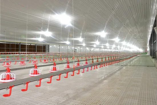 Automatic Feeding Line Chicken Feeding System Automatic Feeding Pan