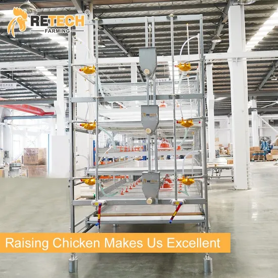 Automatic Poultry Equipment H Type Broiler Chicken Battery Cage in Kenya
