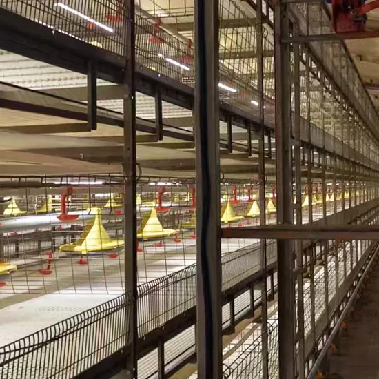 Wholesale Custom Galvanized Steel Wire Layer Automatic Catch Chicken Cage Poultry Equipment
