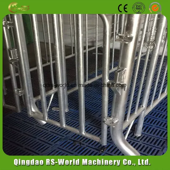 Pig Farm Equipment Gestation Crate Sow Cage