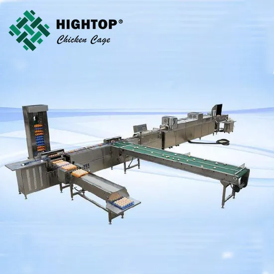 Egg Grading Machine/Egg Sorting Machine/Egg Grader for Sale Egg Grading Packing Machine