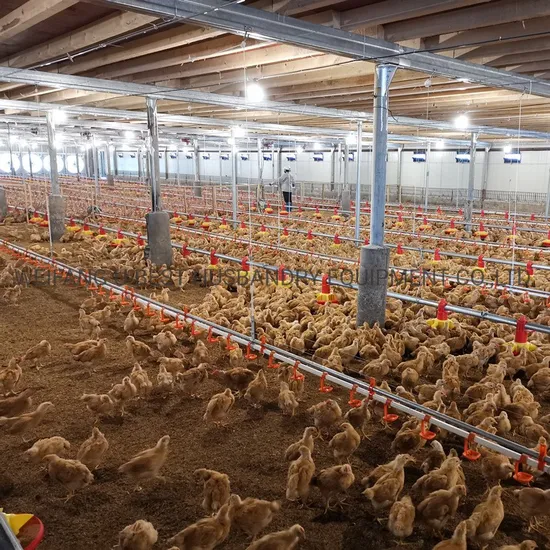 Automatic Broiler Machine for Farming Poultry