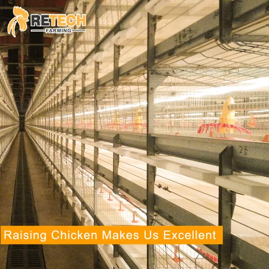 China hot DIP galvanized battery broiler chicken cage for Egypt poultry farm