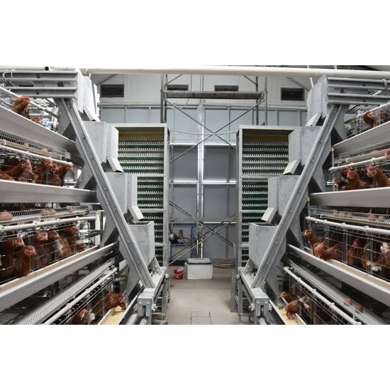 Automatic A Type Chicken Cage for Layer/Broiler/Pullet Poultry Farm