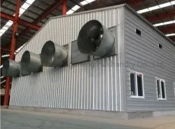 Prefabricated Building Galvanized Steel Structure Farming Shed Chicken Poultry House (BYPH-220625006)