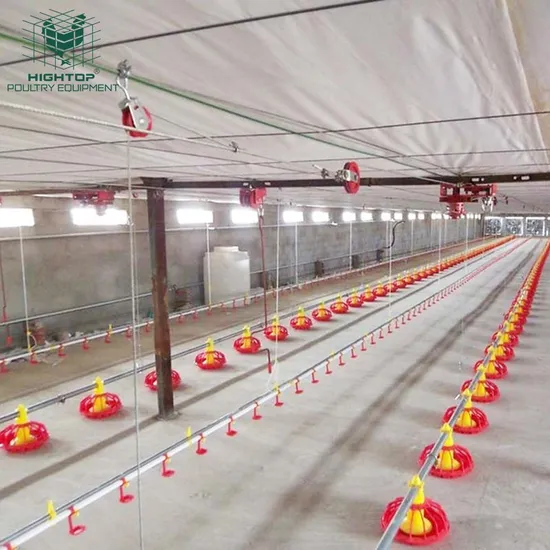 Automatic Broiler Chicks Breeding Pan Feeding System For Poultry Farming