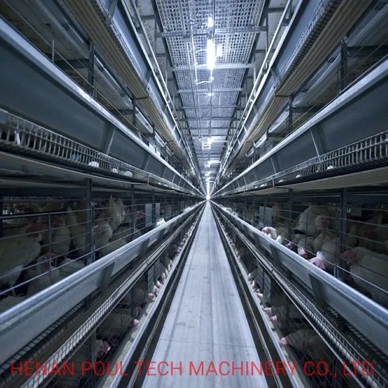 Hot Galvanized Poultry Control Equipment for Chicken Cage