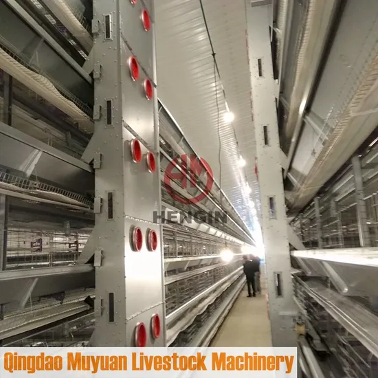 Poultry Battery Layer Cage Equipment for Indonisa Chicken Farm