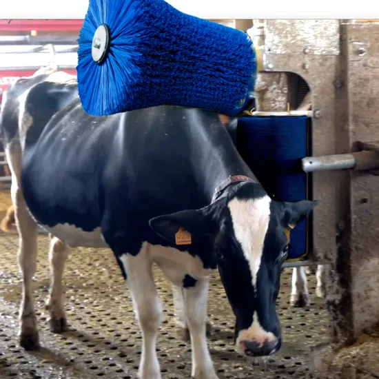 Animal Husbandry Cleaning Mechanical Fully Automatic Cow Body Brush