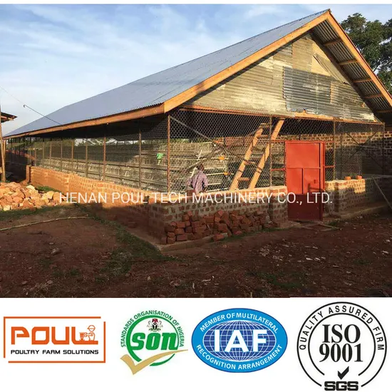 Automatic Egg Farm Layer Chicken Cage