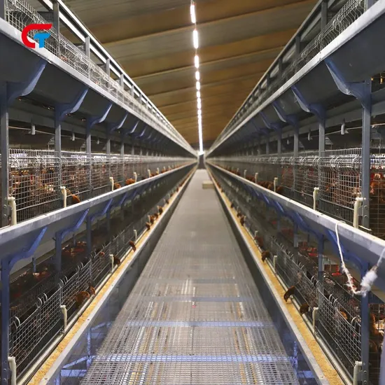 China Farming House Battery Automatic Feeding Livestock Chicken Cages Factory