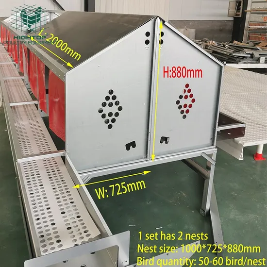 Slatted Floor System Automatic Egg Nest For Layer Chicken Farm
