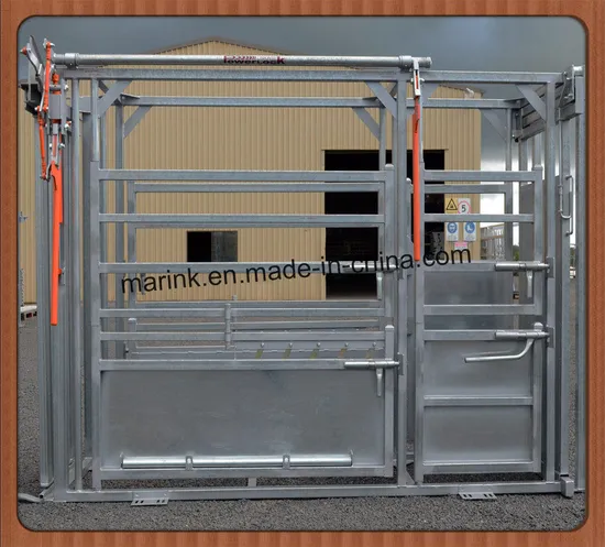 Cattle Chute / Cow Crush / Cattle Squeeze