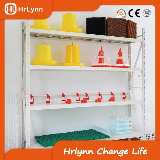Qingdao Plastic Poultry Feeders Drinkers in White and Red Wholesale