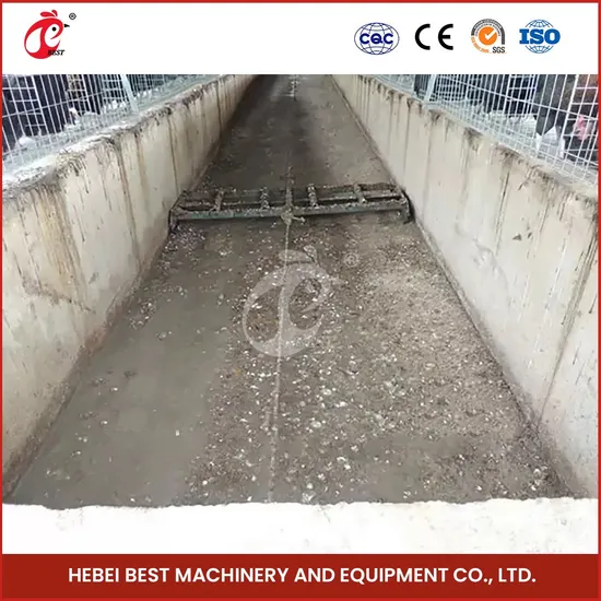 Bestchickencage Manure Removal System China Low Price Automatic Manure Cleaning System Factory Custom 380V Voltage Chicken Manure Removal System with Scrapper