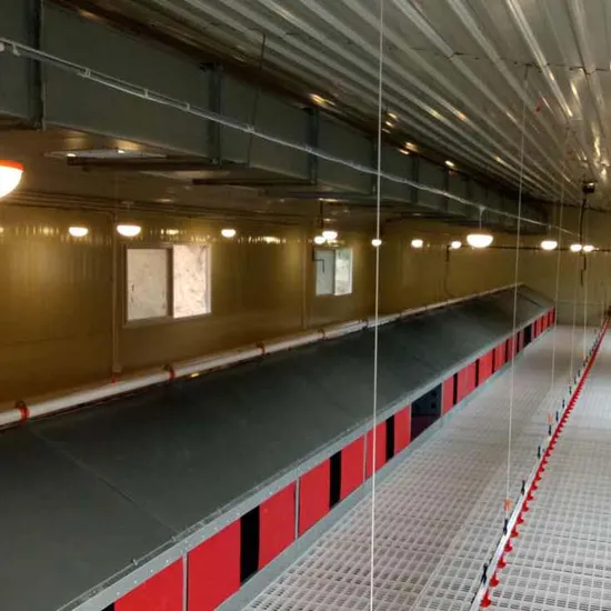 Auto Egg Nest Communal Holes Type Galvanized Type