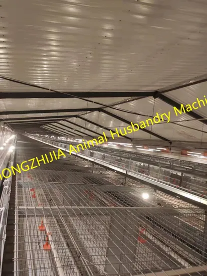 H Type 4 Tiers 5 Tiers Broiler Chicken Feeding Cages Broiler Poultry Farm House Design