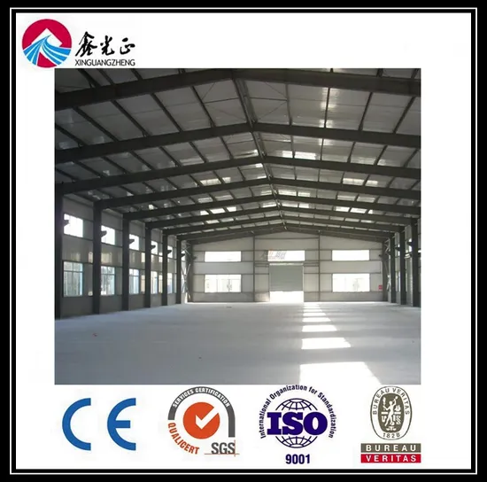 Prefab Poultry House /Modern Livestock Farm From Factory (BYPH-220611009)