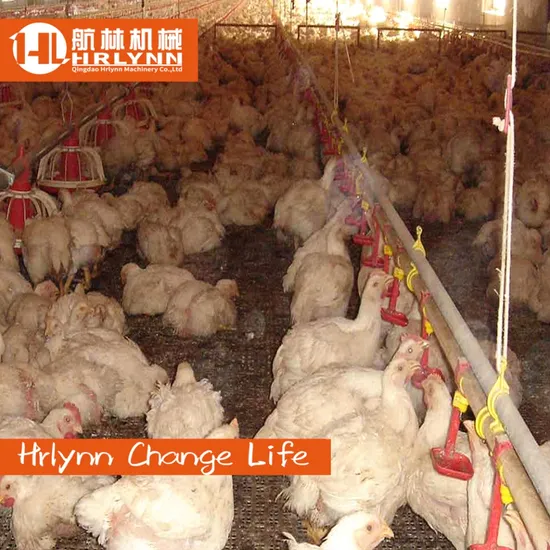Good Price Automatic Broiler Farming System Poultry Farm Equipment for Chicken