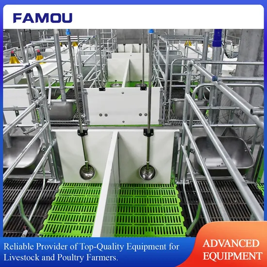Plastic Slatted Flooring Equipment for Modern Pig Pen and Swine Management