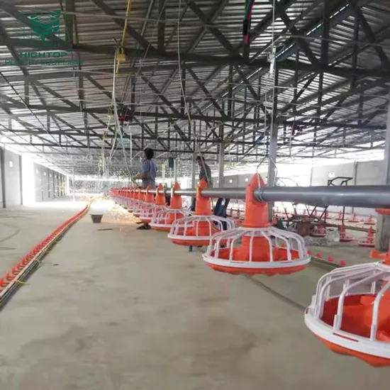 Poultry Farm Equipment Broiler Floor Raising System On The Ground