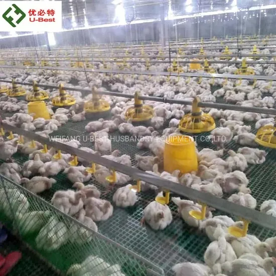 Chicken Coop Broiler House Feeder System Equipment for Poultry
