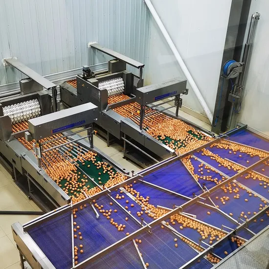 OEM Hot H Type Poultry Breeding Equipment 3 Tiers 160 Capacity Layer Chicken Cages for Layer Breeding