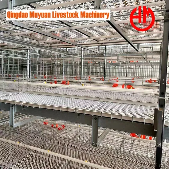 Chicken Cages/Animal Husbandry Machinery/Broiler Feeding Lines/Poultry Houses/Poultry Farms