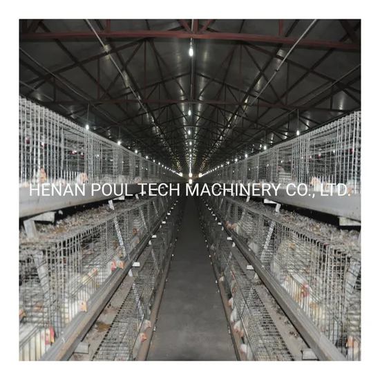 Hot Selling Africa Chicken Cage for Sale Automatic Chicken Broiler Cage