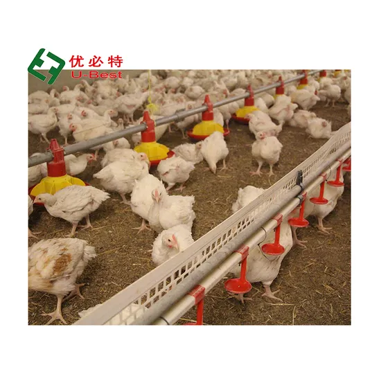 Custom Size H/A-Shape Automatic Muti Layer Cage Chicken Poultry Farm Equipment with Stool Belt/Brood Fan Boiler