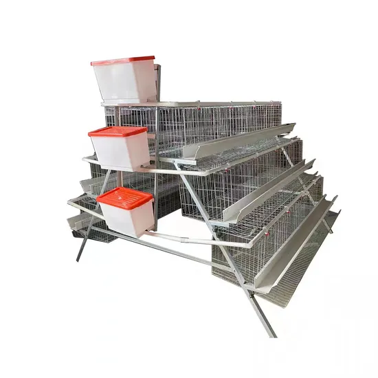 Husbandry Machinery Poultry Farming Equipment Galvanized Layer Chicken Cage